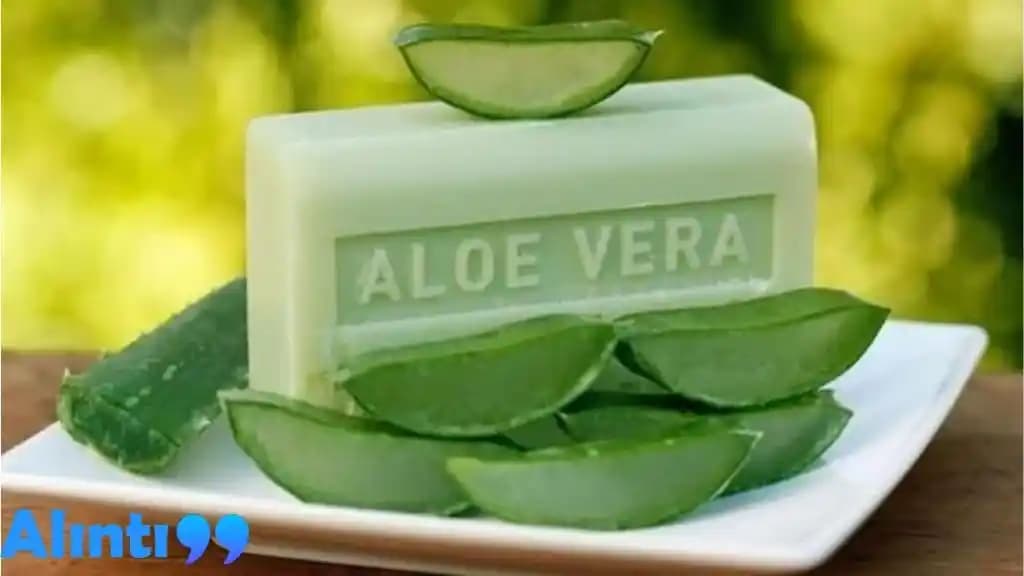 Aloe Vera Sabunu ve Cilde Faydaları: Doğal Güzellik İçin Etkili Bir Bakım Seçeneği