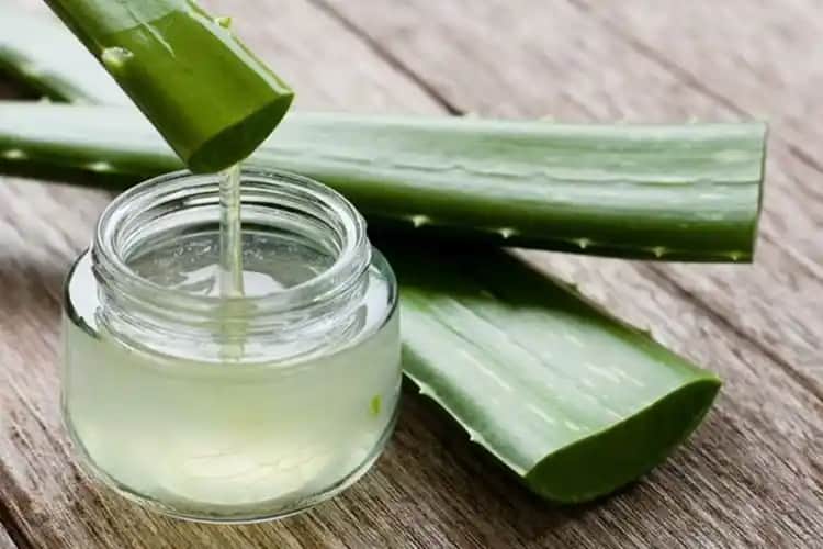 Aloe Vera Yüzde Kaç Dakika Kalmalı Doğru Uygulama Süresi ve İpuçları