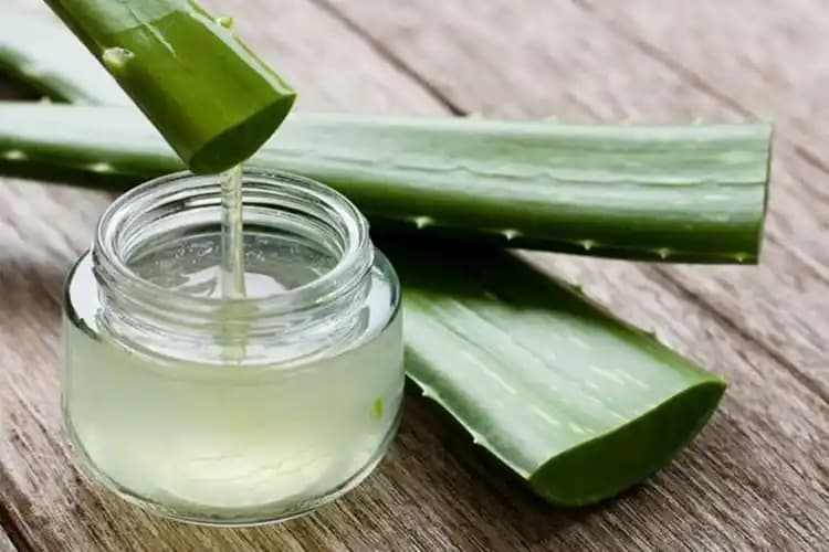 Aloe Vera Yüzde Kaç Dakika Kalmalı Doğru Uygulama Süresi ve İpuçları