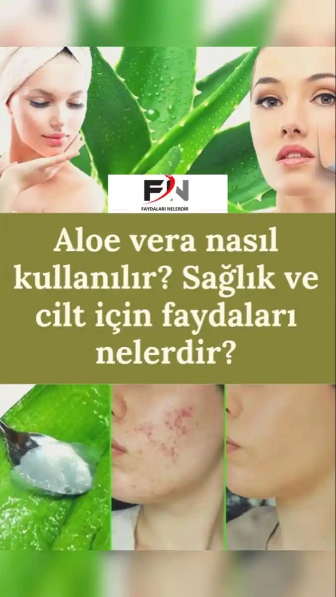 Aloe Vera’nın Cilt Sağlığına Katkıları: Nemlendirme, Yenileme ve Yaşlanma Karşıtı Faydalar