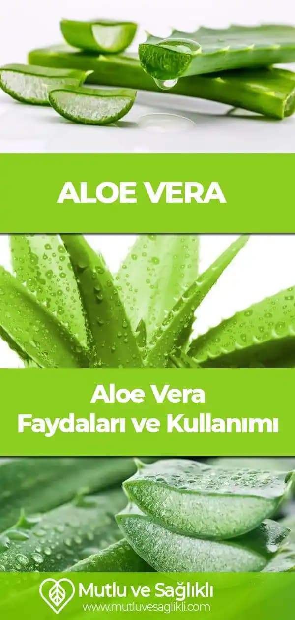 Aloe Vera’nın Güzellik Sırları ve Cilt Sağlığına Faydaları Hakkında Detaylı Bilgi