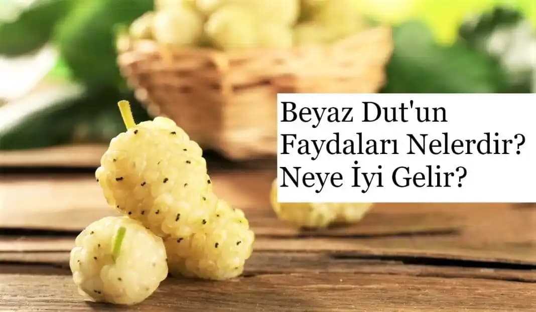 2025'te Beyaz Dutun 7 Şaşırtıcı Faydasıyla Sağlık ve Güzelliğinizi Koruyun