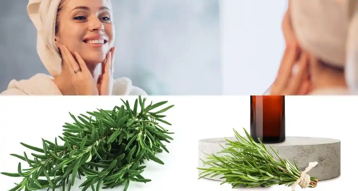 Biberiyenin Cilde Faydaları ve Doğal Güzellikteki Rolü Hakkında Kapsamlı Rehber