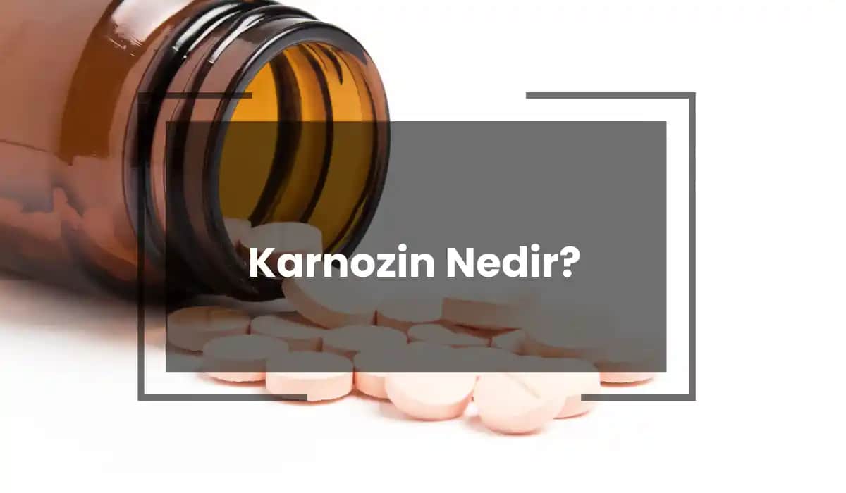 Çinko L-Karnosin Nedir, Faydaları ve Kullanım Alanları Hakkında Detaylı Bilgi