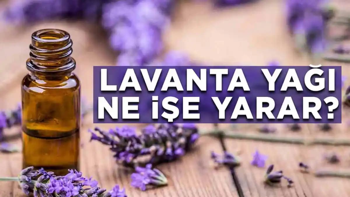 Dalin Yağı Nedir ve Cilt Sağlığına Faydalarıyla Çok Yönlü Kullanımı