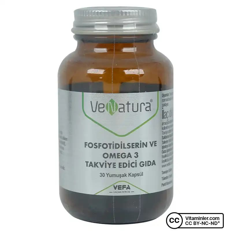 Fosfotidilserin ve Omega 3 Takviyeleri Beyin Sağlığını Güçlendiren En İyi Seçenekler