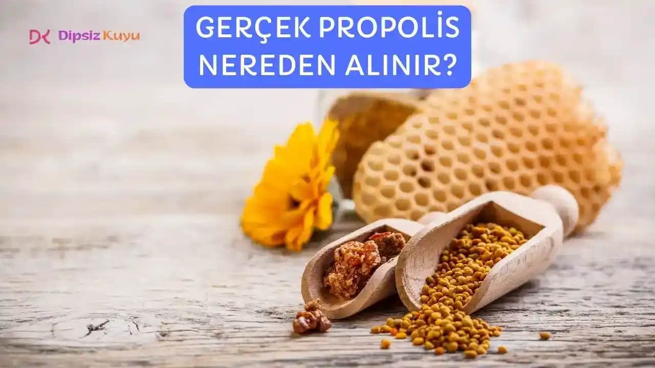 Gerçek Propolis Nedir, Nasıl Anlaşılır ve Güvenle Kullanılır Kozmetik Rehberi