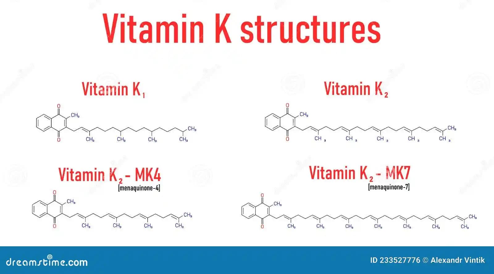 K1 ve K2 Vitamini: Kozmetik ve Sağlık Açısından Detaylı Bilgi ve Farklar