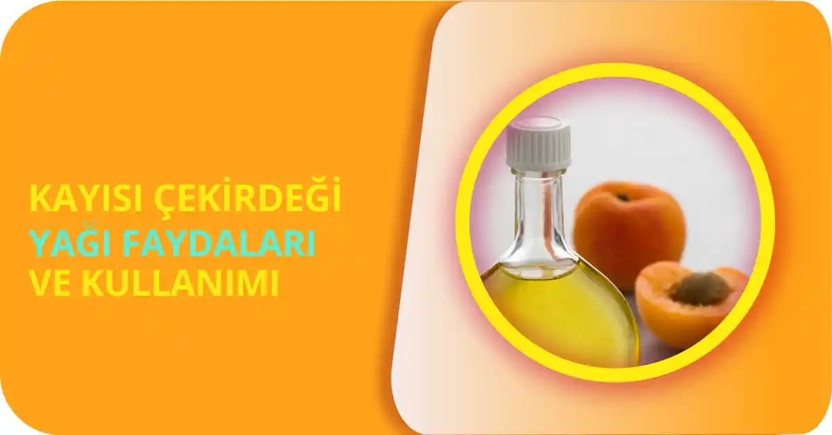 Kayısı Çekirdeği Yağı Kullanımı ve Faydaları: Doğal Güzellik İçin Etkili Bir Seçenek