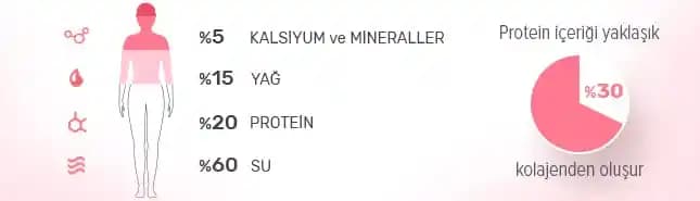 Kolajen Nerede Bulunur ve Doğal Kaynaklar ile Cilt Sağlığını Destekleme Yöntemleri