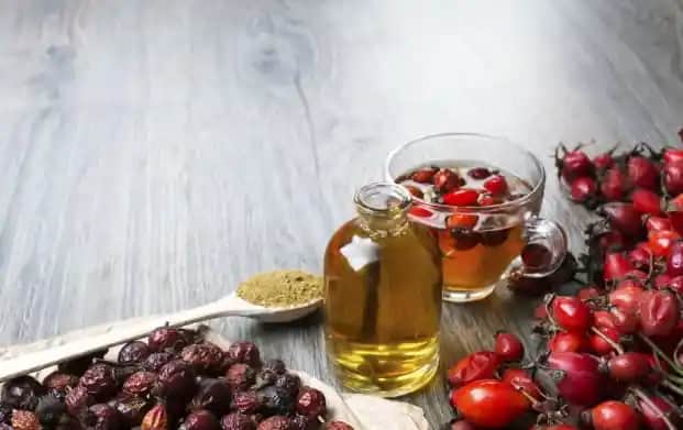 Kuşburnu Çekirdeği Yağının Faydaları ve Kullanım Alanları Hakkında Bilgiler