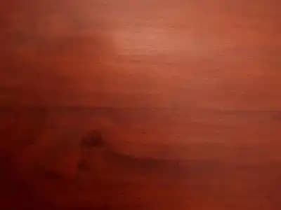 Mahagoninin Kozmetik Sektöründeki Yeri ve Sürdürülebilir Kullanım İmkanları