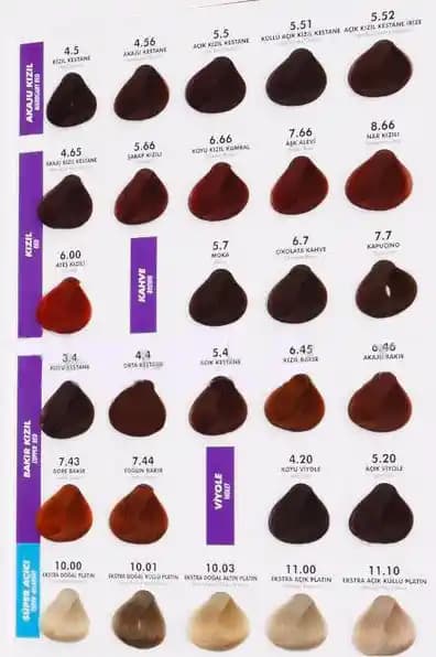 Neva Color Katalogu: Geniş Renk Seçenekleri ve Yenilikçi Saç Bakım Ürünleri