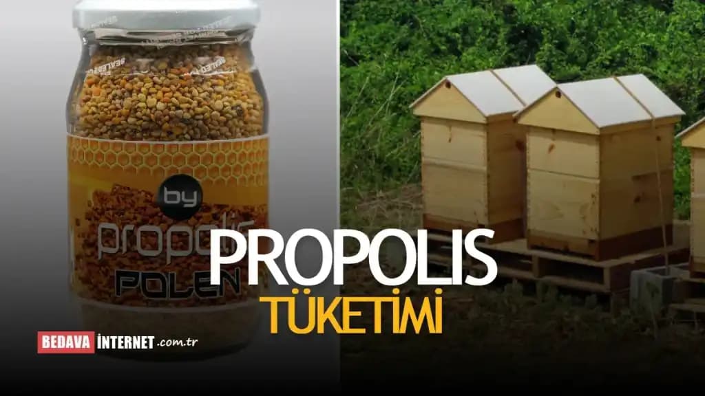 Propolis Fiyatları ve Kozmetik Sektöründeki Yeri Hakkında Detaylı Bilgi