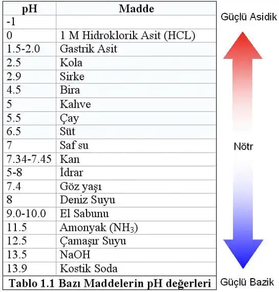 Saç ve Cilt Sağlığı İçin Şampuanların pH Değeri Neden Önemlidir ve Nasıl Seçilir