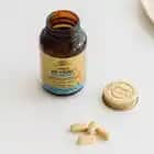 65 Yaş Üstü İçin Solgar Vitaminleri ve Sağlıklı Yaşlanma Rehberi