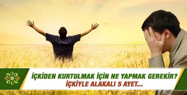 Güneş ve Bronzlaşma Sürecinde Cilt Sağlığını Koruma Yöntemleri ve Soyulmayı Önleme İpuçları