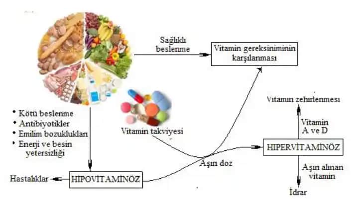 Vücutta Vitaminlerin Kozmetik ve Sağlık Üzerindeki Etkileri: Doğru Vitamin Denge ile Güzelliği Artırma