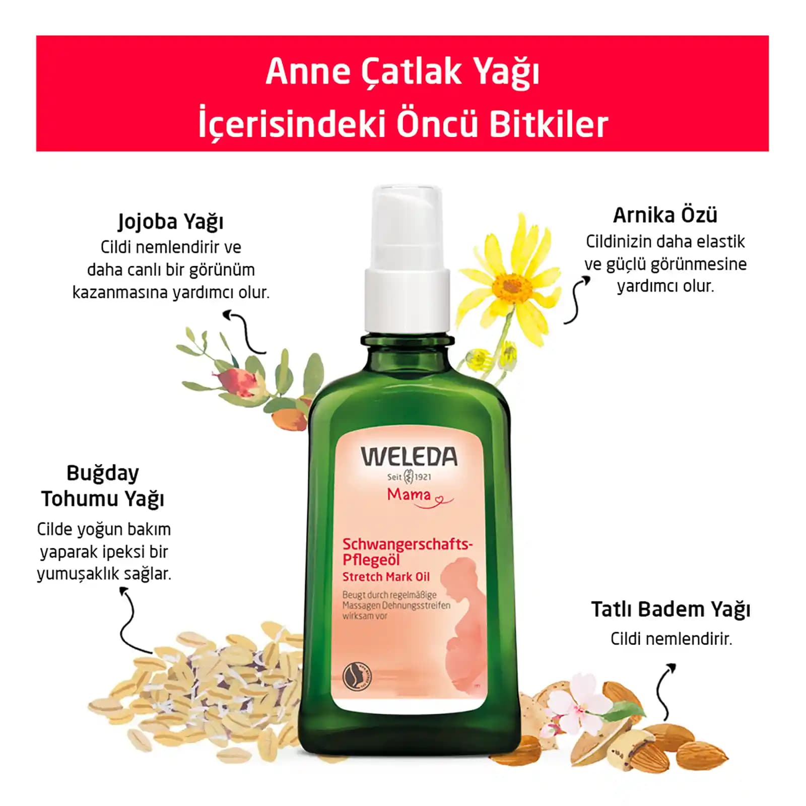 Weleda Çatlak Yağı 2025: Doğal İçeriklerle Cildinizde Devrim Yaratın