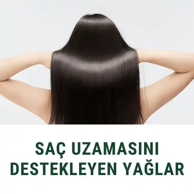 Saç Derisi Yağları ve Saç Uzaması: Bilimsel Veriler ve Yanılgıların Analizi