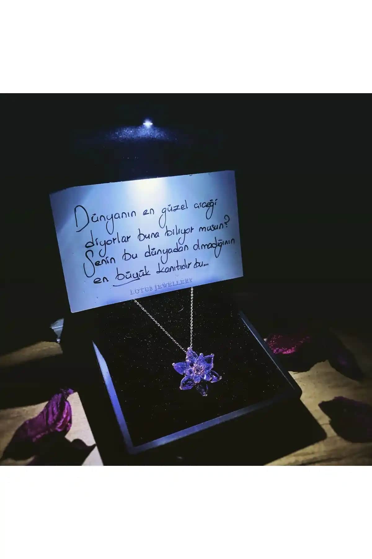 LOTUS JW ve Silvano Jewelry Işıklı Kolye Karşılaştırması Hangi Ürün Daha Uygun