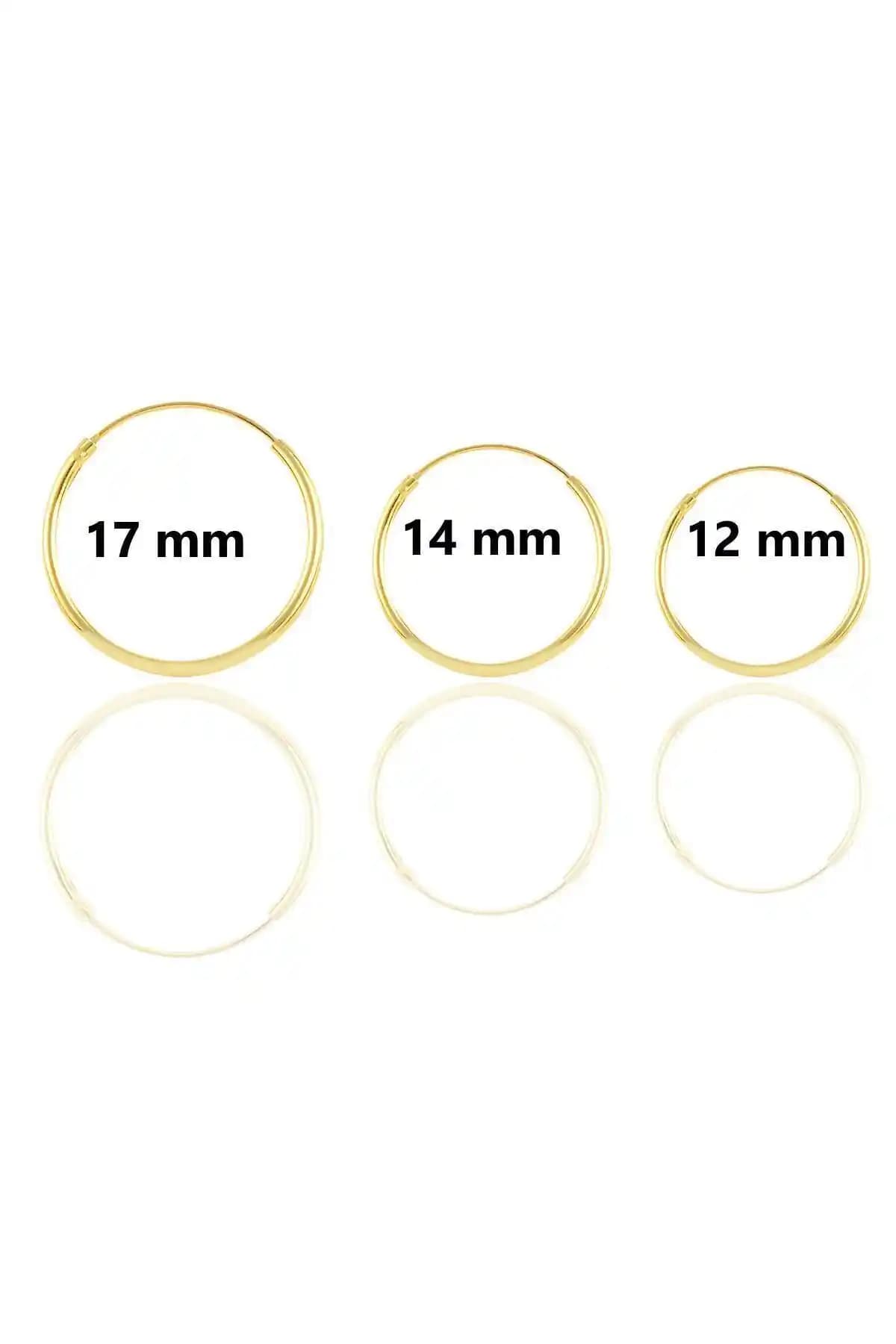 Söğütlü Silver Gümüş ve Altın Detaylı Üç Boyutlu Halka Küpeler İncelemesi