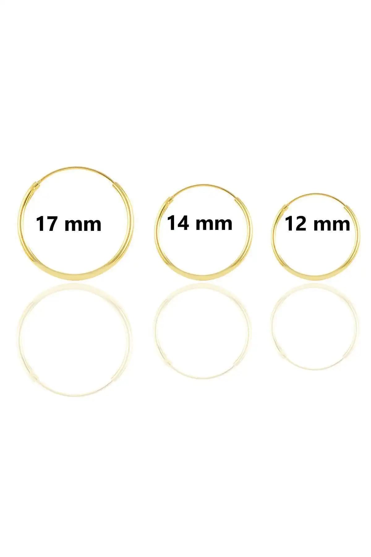 Söğütlü Silver Gümüş Yaldızlı Halka Küpe Modellerinin Karşılaştırması 2