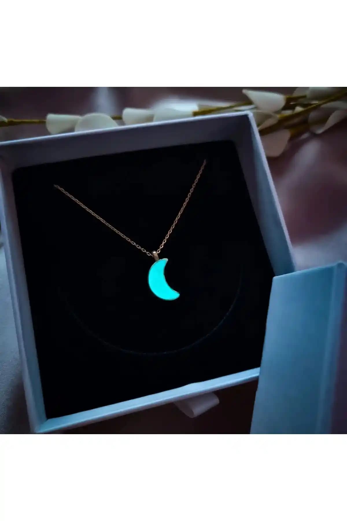 Soprano Silver Gece Parlayan ve Ay Kolye Karşılaştırması: Özellikler ve Kullanıcı Yorumları