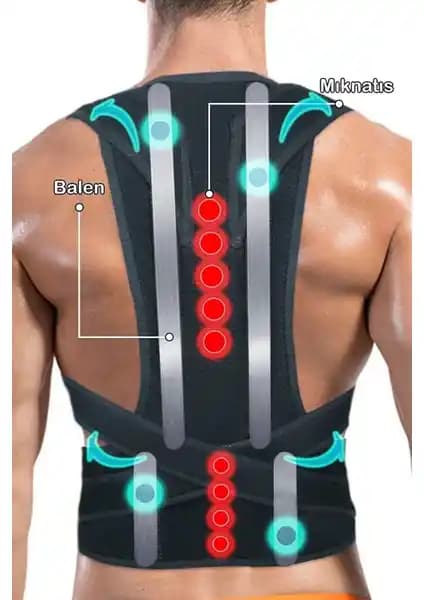 Ankaflex ve Ankanorm Dik Durus Korseleri Karşılaştırması