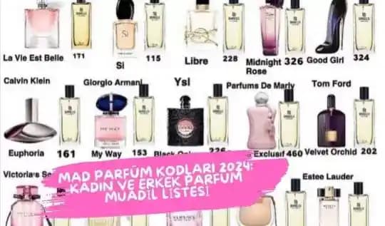 2024 Kadın Parfüm Trendleri ve Alternatif Seçenekler Analizi