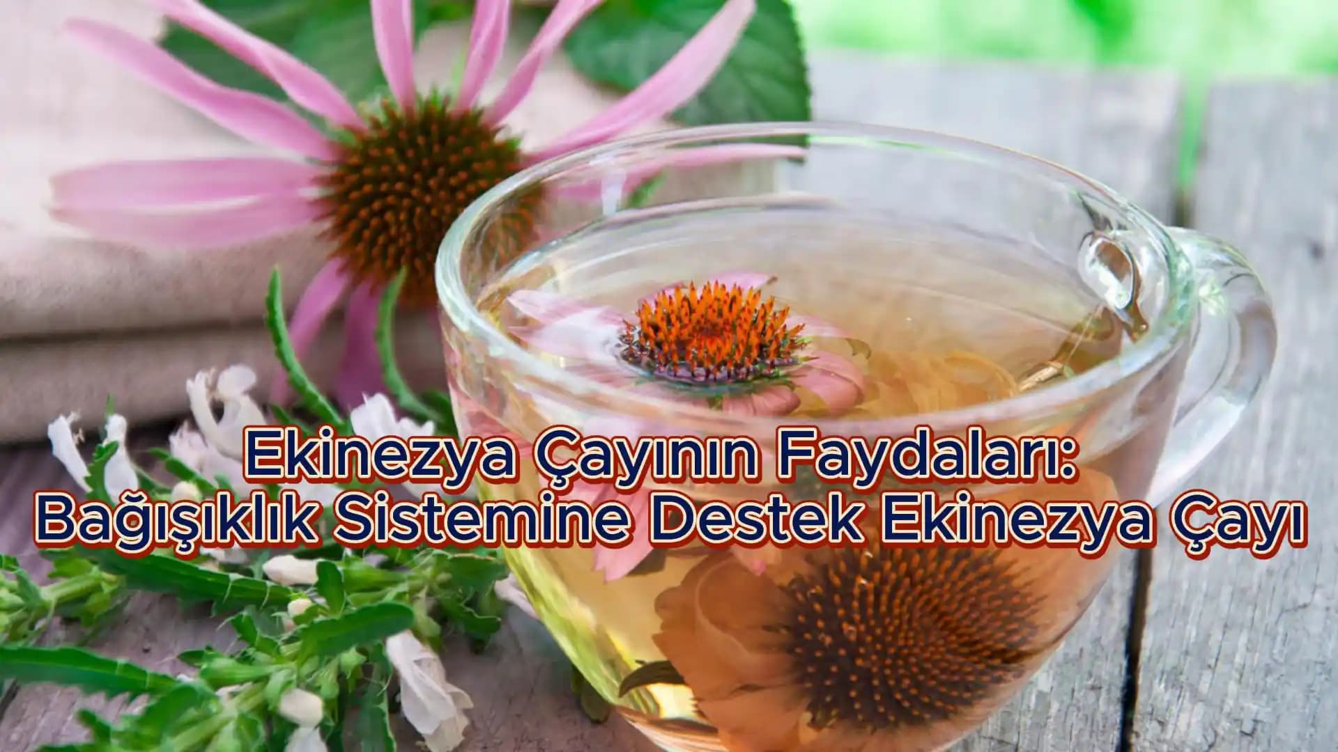 Bağışıklık ve Güzellik Destekçisi Vitaminler ve Doğal Kaynaklar Rehberi