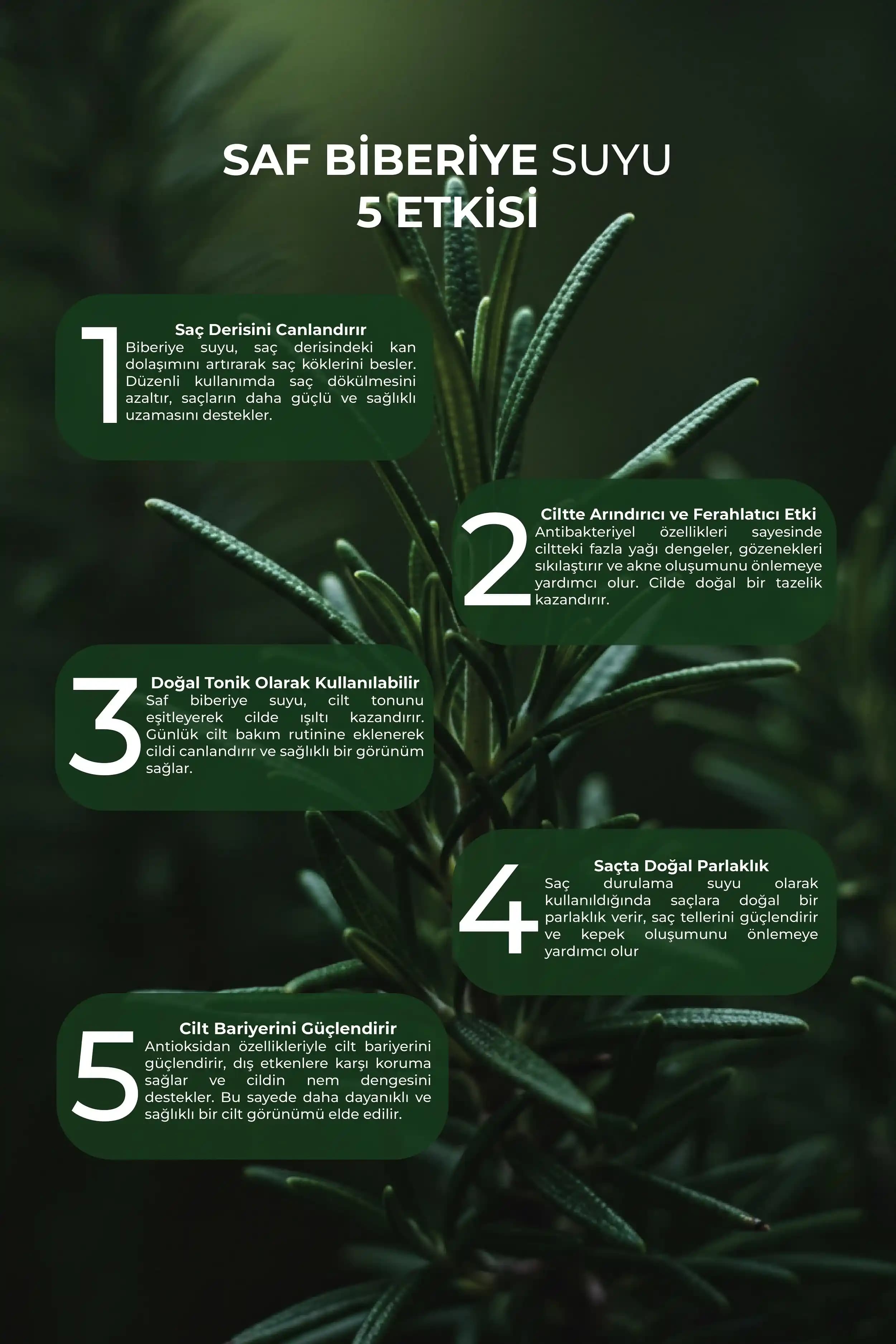 Biberiye Suyunun Cilt Sağlığına Katkıları ve Doğal Bakımda Kullanım Yöntemleri