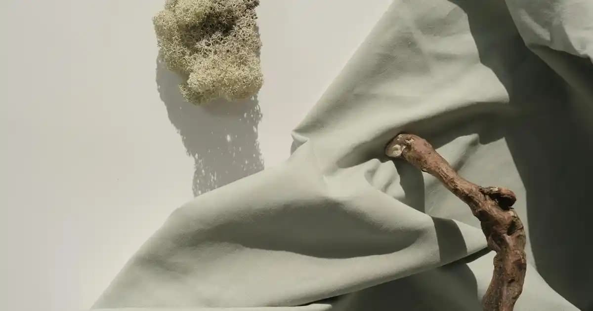 Cerave Göz Çevresi Bakım Ürünleri: Hassas Ciltler İçin Güvenilir ve Etkili Çözüm