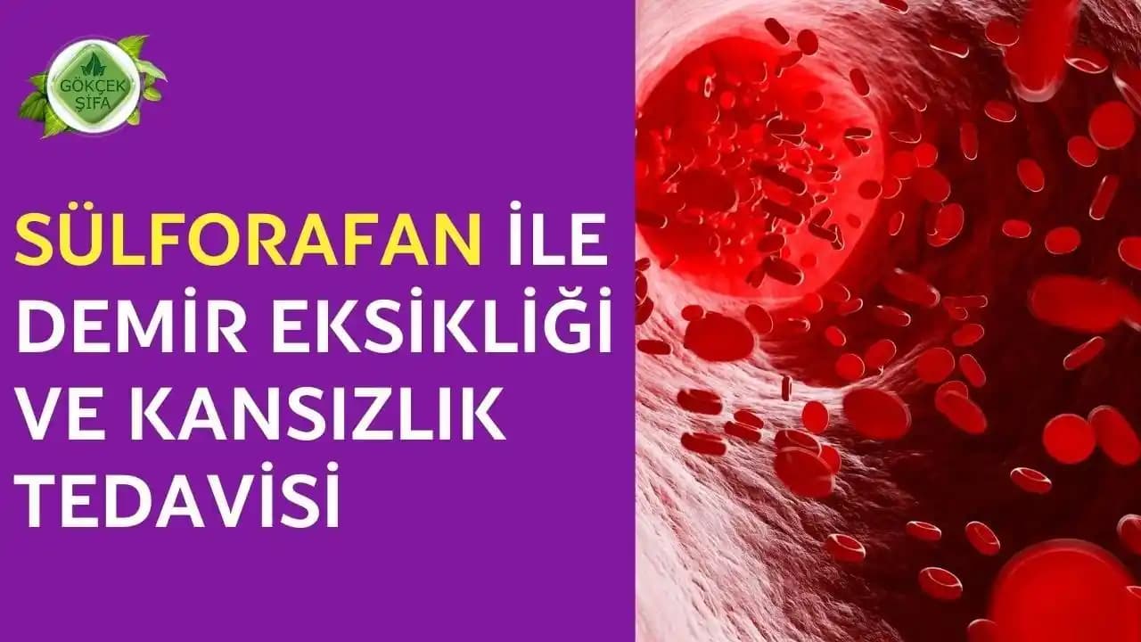 Demir Eksikliği İçin Doğal Çözüm Kapsülleri ve Sağlıklı Alternatifler