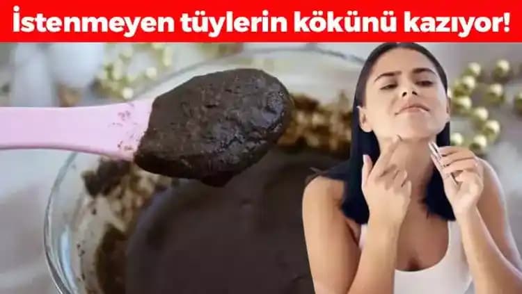 Doğal Bakım Yöntemleriyle Tüylerin Sağlığını Koruma ve Güçlendirme Rehberi