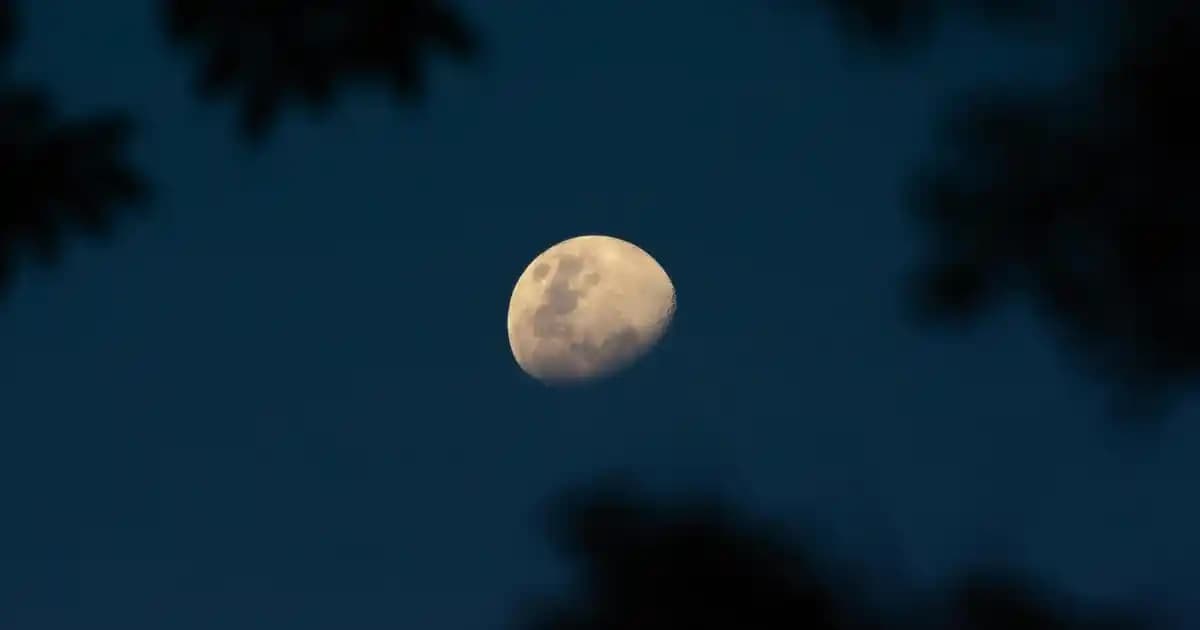 Doğal İçerikli Şampuanlar ile Saç Sağlığını Destekleme Rehberi