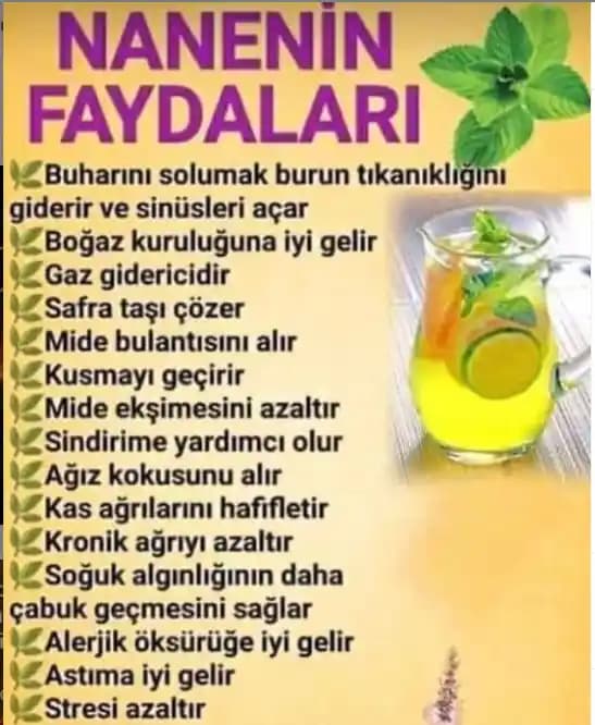 Doğal Nane ve Sağlık Üzerindeki Faydaları Günlük Yaşamda Kullanım İpuçları