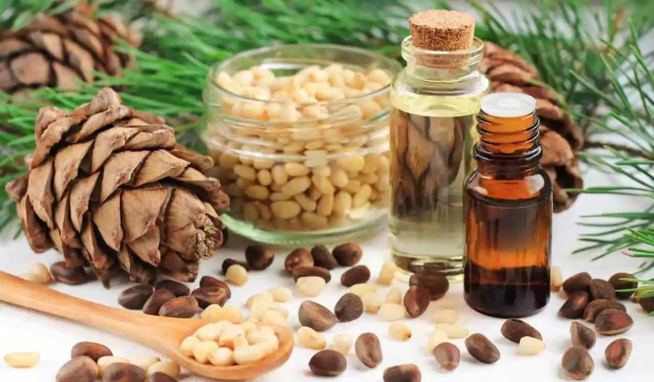 Doğal Sedir Ağacı Yağının Güzellik ve Bakımda Kullanım Fırsatları