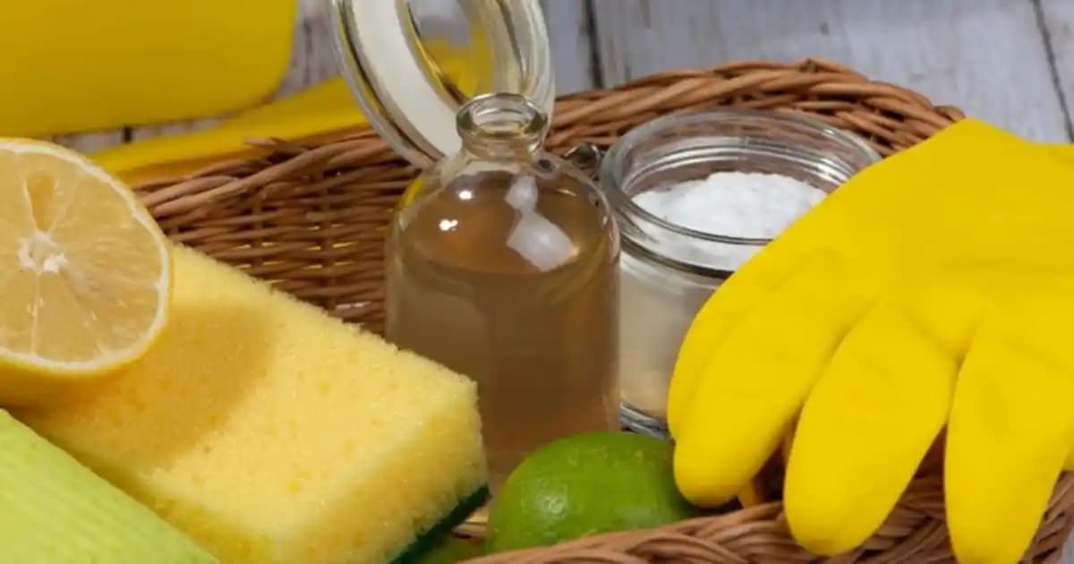 Doğal ve Çevre Dostu Temizlik Ürünleri: Güncel Yaklaşımlar ve Avantajlar