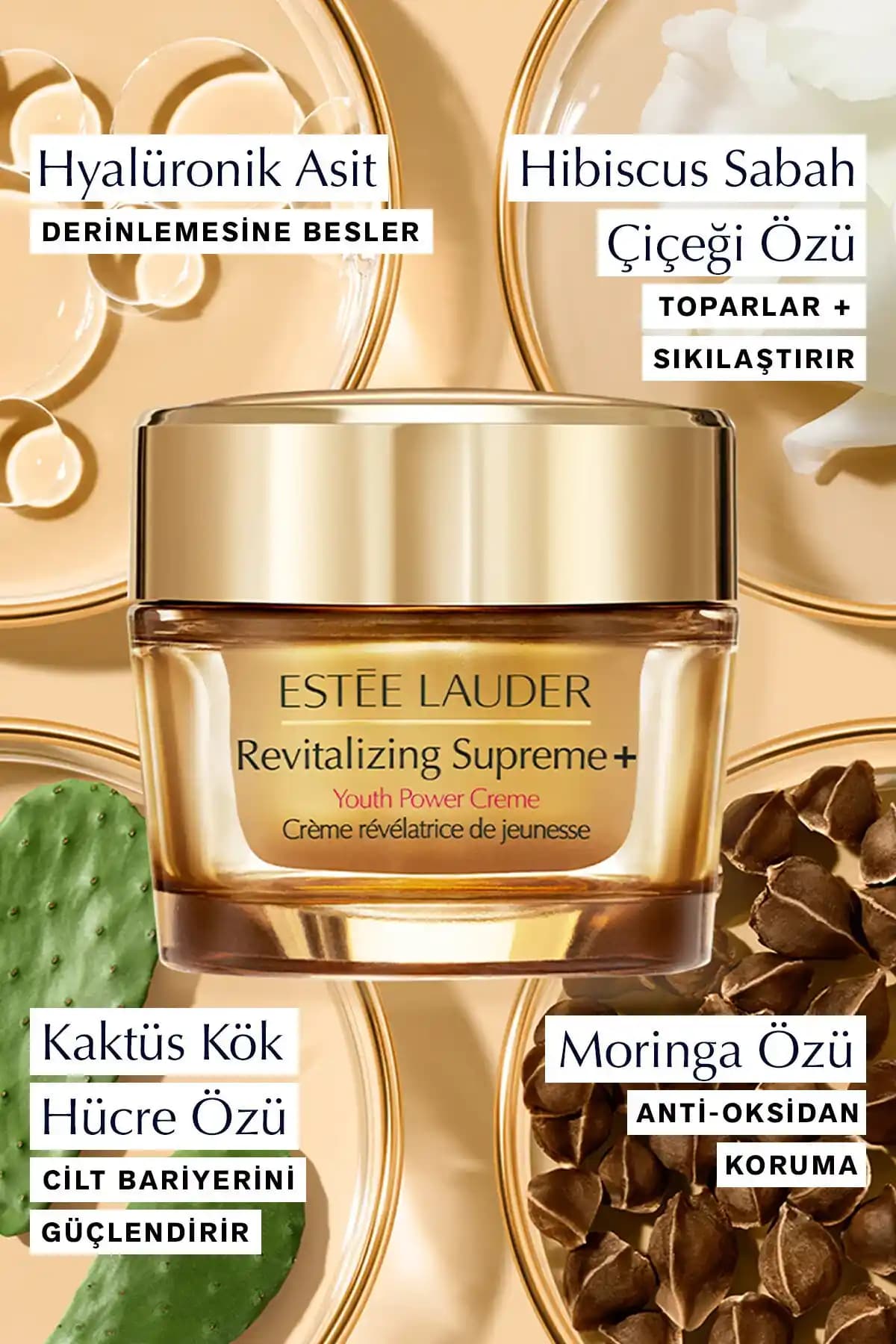 Estée Lauder Cilt Bakım Kremi: Güçlü ve Güvenilir Yaşlanma Karşıtı Cilt Bakım Seçeneği