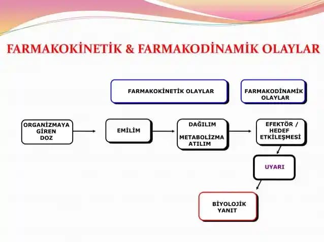 Farmasötik Ürünlerde Man-Date Kullanımı: Güncel Durum ve Uygulama İpuçları