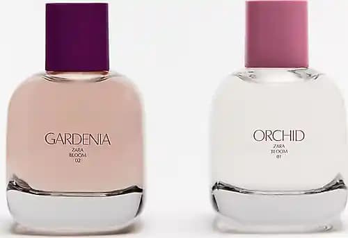 Gardenia Orchid Kadın Parfümü: Günlük Kullanım İçin Hafif ve Çekici Koku Seçeneği