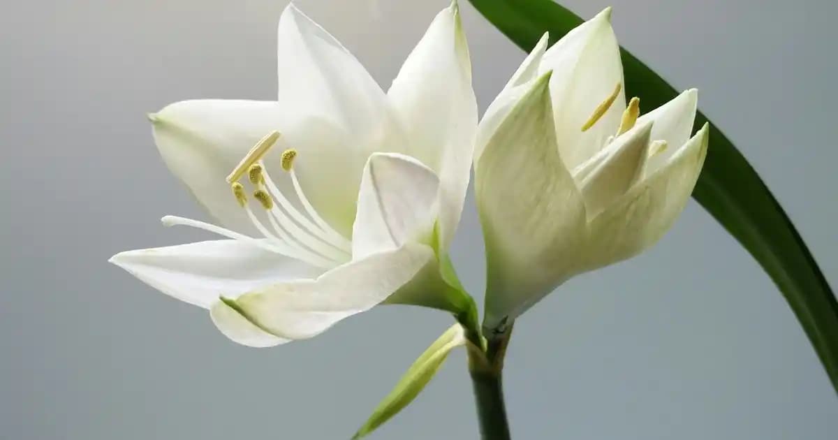 Göz Altı Bakımı ve Uzun Süreli Kapatıcıların Doğru Kullanımı ve Etkileri