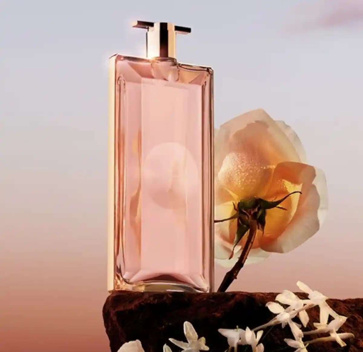 Hafif ve Ferah Parfüm Seçimi Rehberi: Yaz Ayları İçin En İyi Kokular