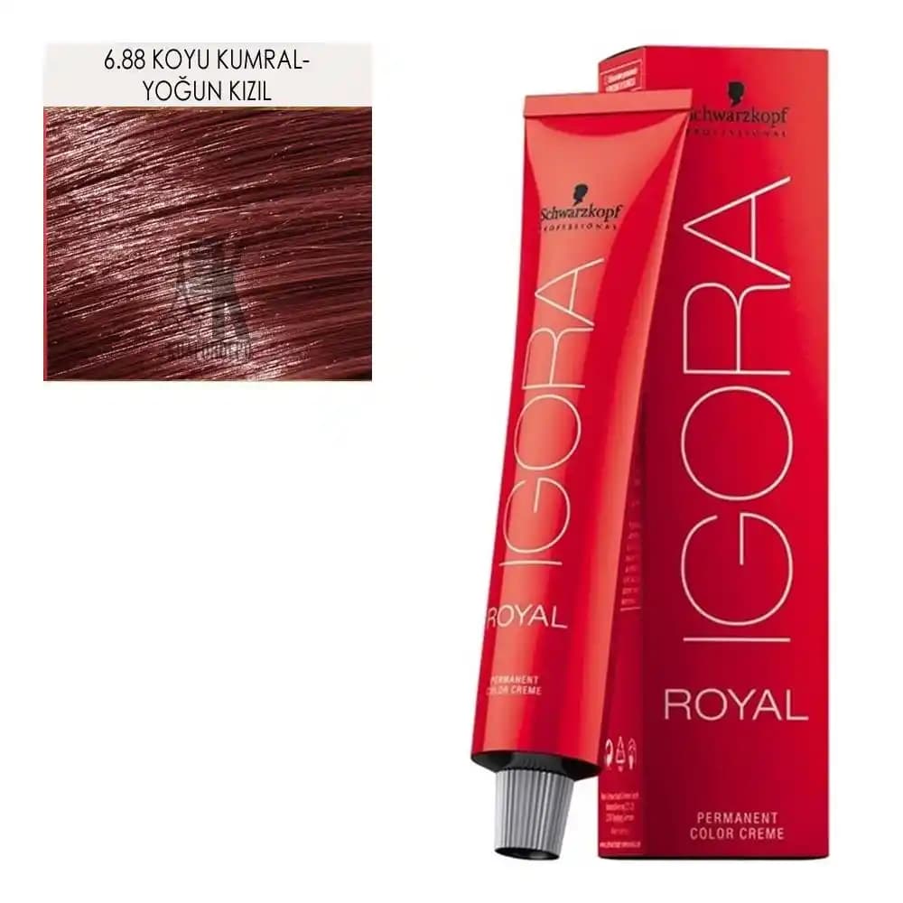 IGORA ile Kızıl Saç Rengi için Güçlü ve Canlı Tonlar Elde Etme Rehberi