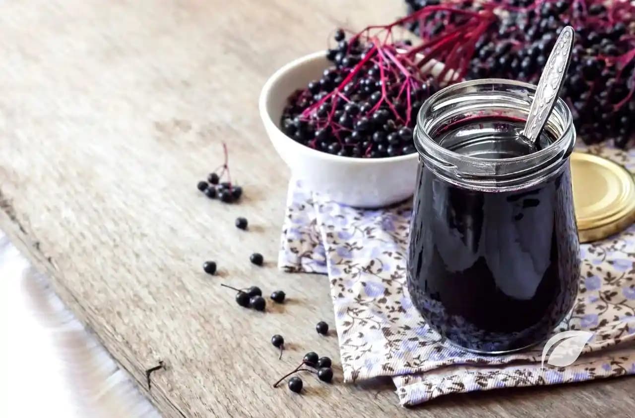 Kara Murver Kullanımıyla Doğal Güzellik ve Bakım Yöntemleri