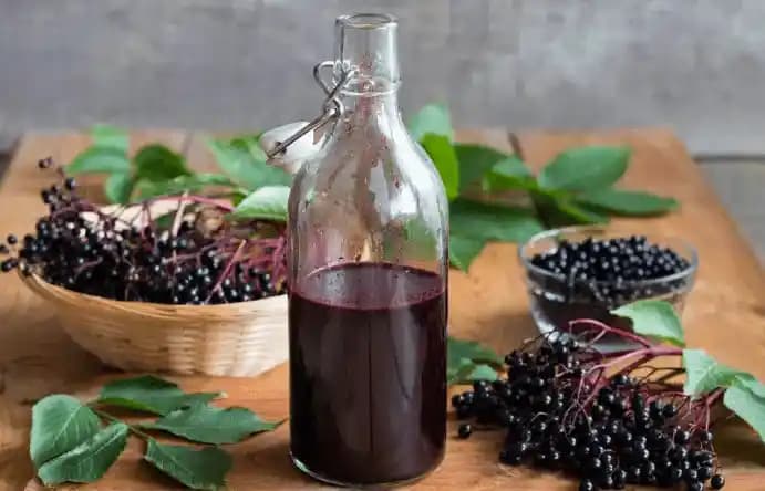 Kara Murver ve Doğal Güzellik Bakımında Kullanım Alanları Analizi