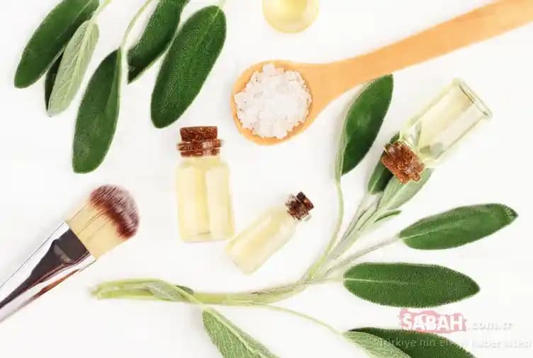 Kozmetik Ürünlerinin Özellikleri ve Kullanım Alanları Hakkında Detaylı Bilgi