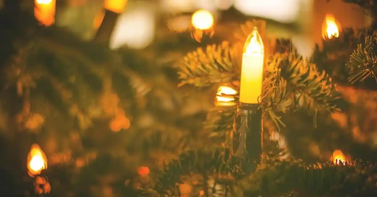 Lancaster Güneş Sonrası Cilt Bakımı Ürünleri: Doğru Seçimle Rahatlatıcı ve Koruyucu