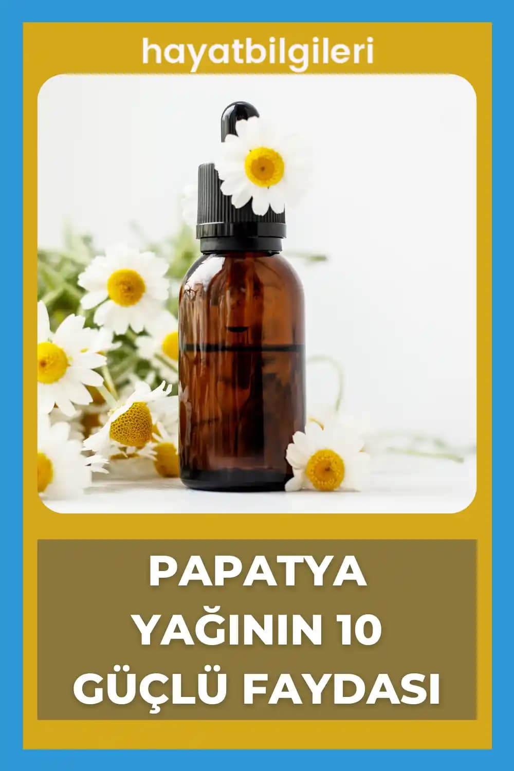 Masala Papatya İçeriğiyle Doğal ve Yatıştırıcı Cilt Bakım Ürünleri Rehberi